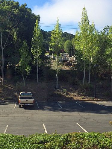1450 Neotomas Ave, Santa Rosa, CA 95405